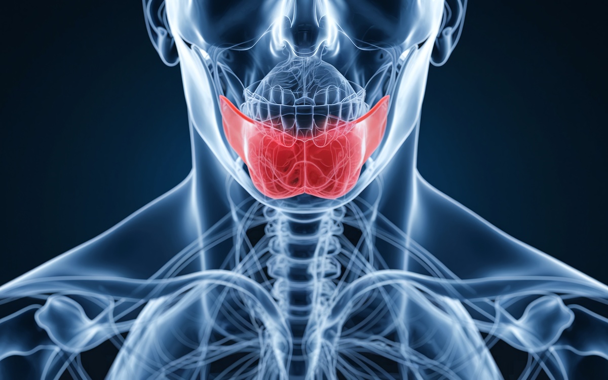 X-ray of a human mandible, with the lower jaw bone highlighted in red.